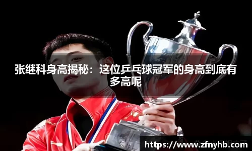 BSport必一运动官方网址